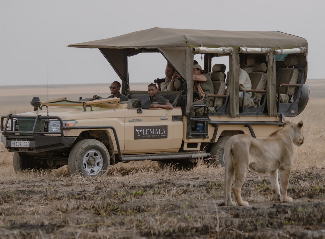 What Does a Mid-Range Tanzania Safari Actually Cost? (Honest 2026 Breakdown)