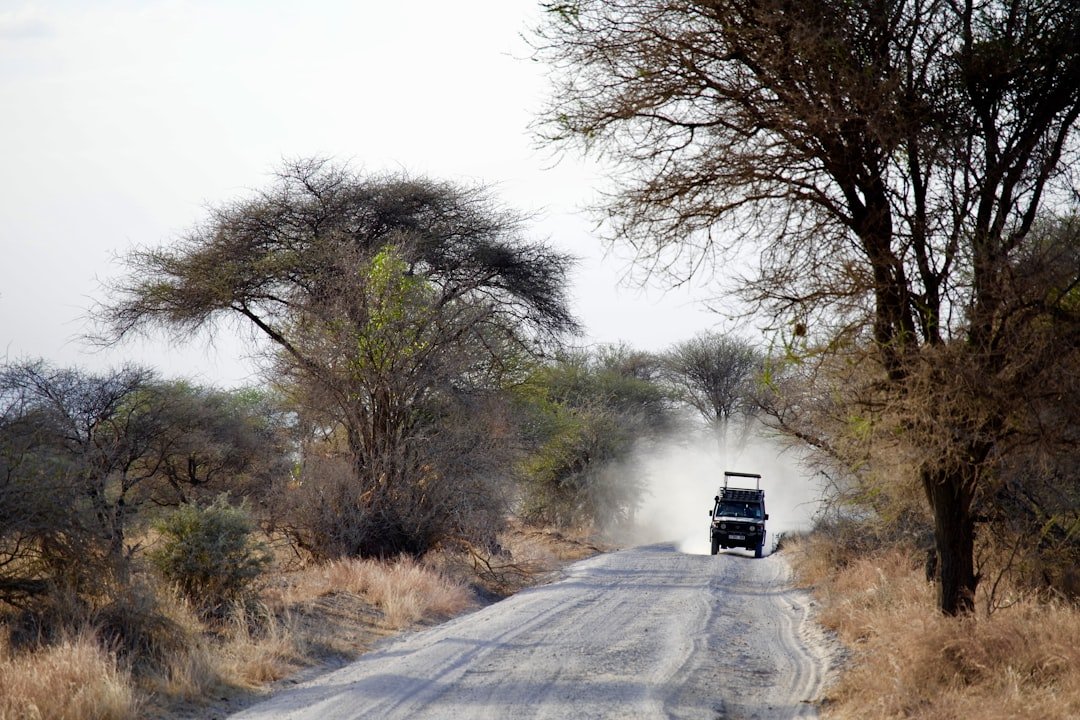 10-Day Tanzania Safari Itinerary 2026: Day-by-Day Northern Circuit Guide