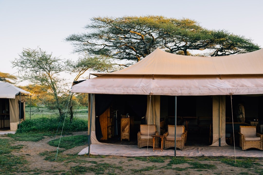 Tarangire National Park Accommodation Guide: Best Lodges & Camps 2026
