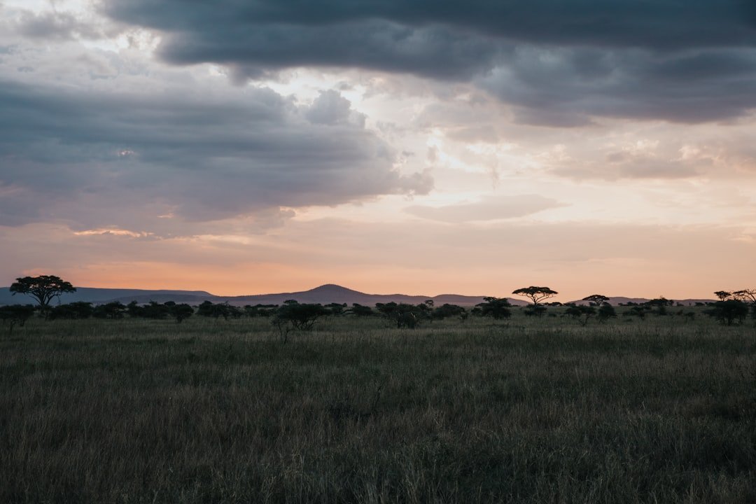 Tanzania safari August September — Serengeti dry season best time to visit